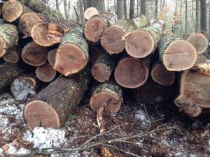 Logs aplenty